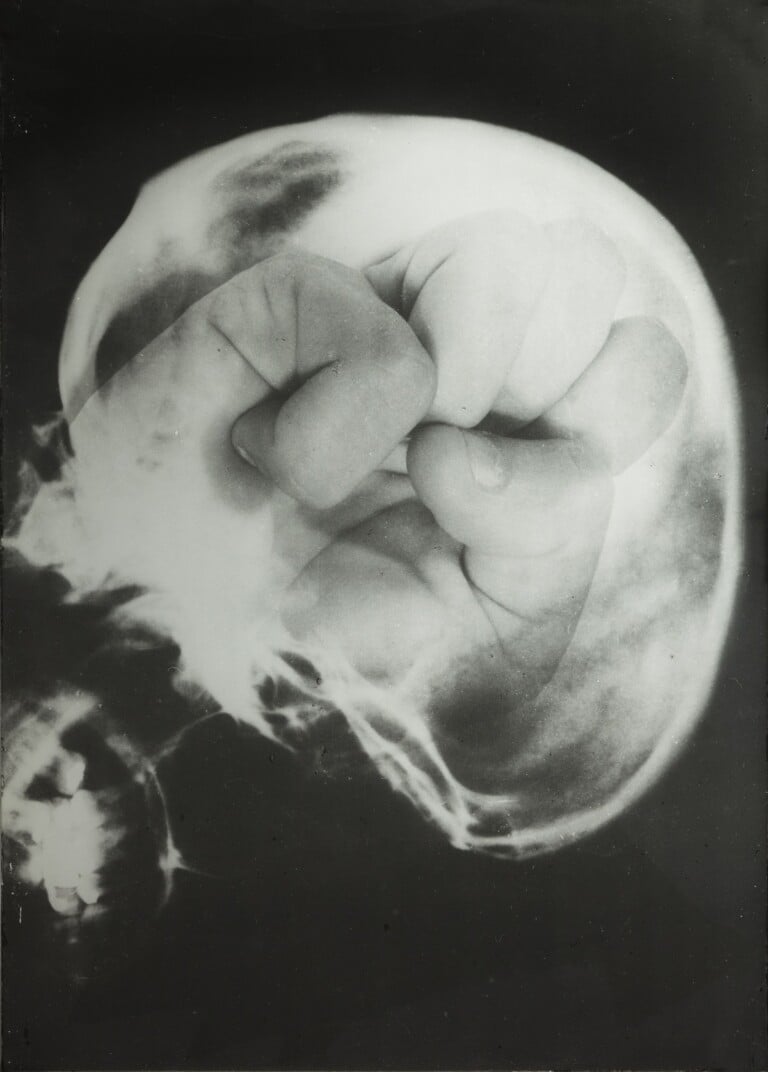 Ketty La Rocca, Craniologia n.4, 1973 Collezione Maria Grazia Chiuri, Parig