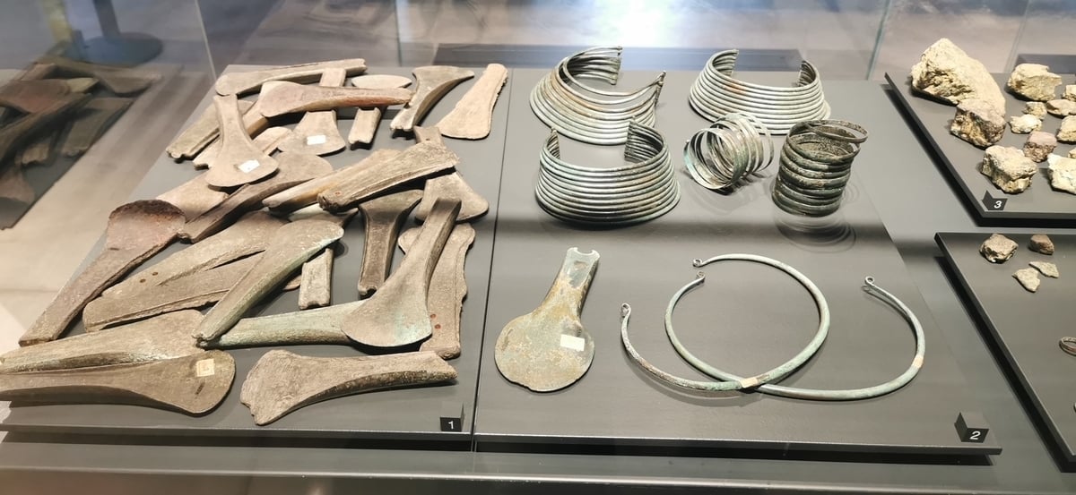 Il Museo Archeologico Nazionale della Lomellina a Vigevano Artribune Il Museo Archeologico Nazionale della Lomellina a Vigevano Artribune