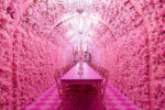 Museum of Dreamers, Milano. Believe in Magic