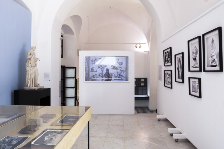 Quando le statue sognano, Special Projects Museo archeologico regionale A. Salinas, Palermo, 2022. Veduta dell’allestimento