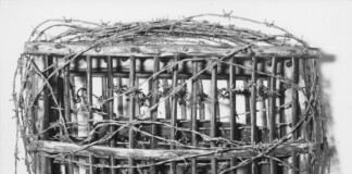 Richard Serra, Zoo Cage III, 1966, dettaglio. Materiali vari. Ph. Galleria La Salita. © 2022 Richard Serra
