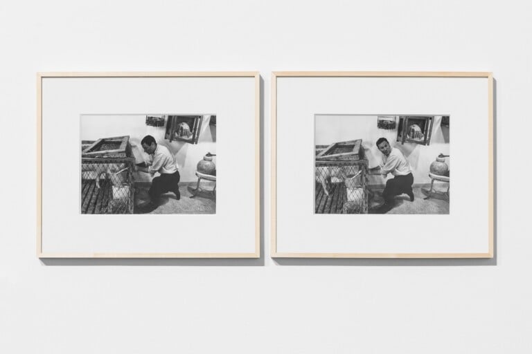 Richard Serra e l’opera,Live Pig Cage I, 1966. Stampe fotografiche in bianco e nero. Ph. Aldo Durazzi, Agenzia DUfoto. Courtesy Giuseppe Garrera Collection