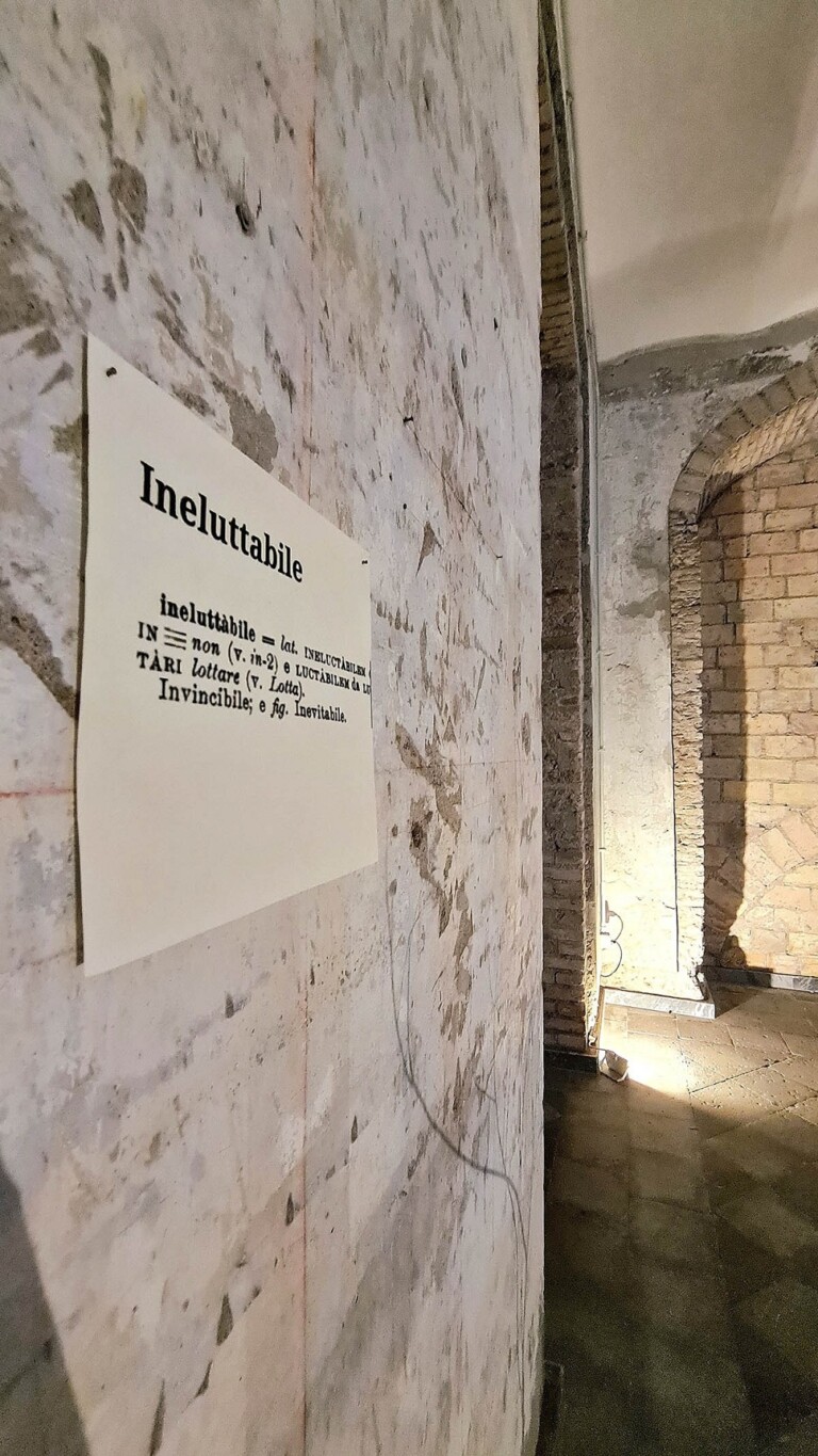 Selcouth (Emanuele Quartarone, Filippo Fossà), Incipit, installation view, photo credits Annalisa Bifolchi, courtesy Cosmo Trastevere