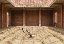 Sheep and Hay. Parliament of Ghosts Series. Red Clay Tamale