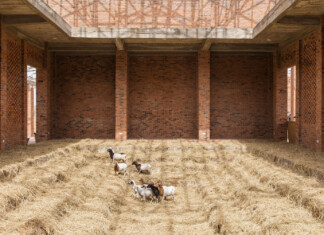 Sheep and Hay. Parliament of Ghosts Series. Red Clay Tamale
