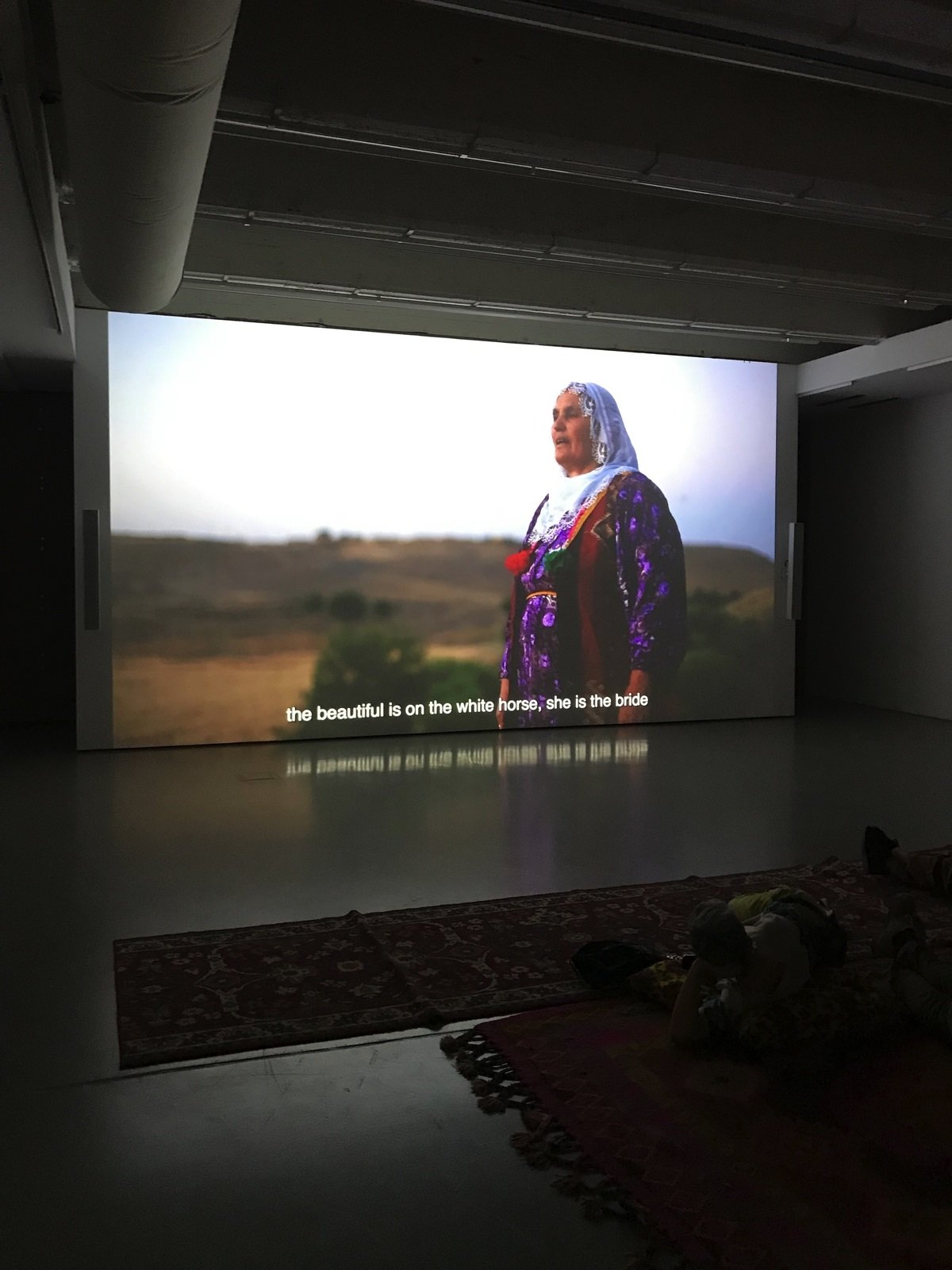 documenta 15. Saodat Ismailova, Chilltan. Photo Marco Enrico Giacomelli