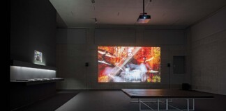 documenta fifteen, Safdar Ahmed, Hazeen Sovereign Murders – Alien, Citizen, 2022, Stadtmuseum, Kassel, photo Nils Klinger