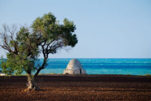 I festival culturali in Italia di ottobre. Artecinema, Suoni fuori dagli schermi, Utopian Hours