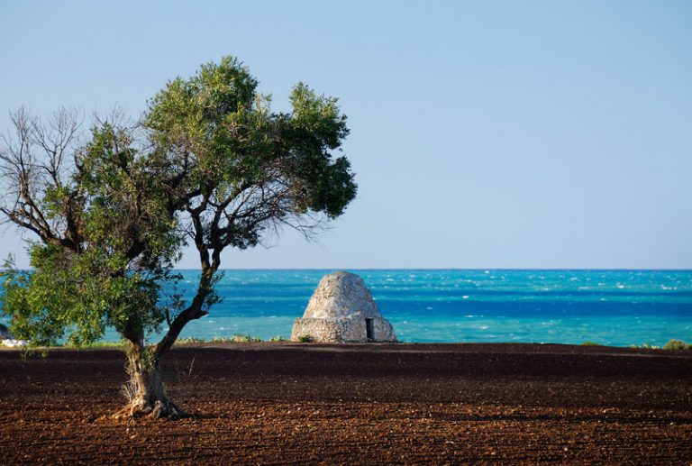 I festival culturali in Italia di ottobre. Artecinema, Suoni fuori dagli schermi, Utopian Hours