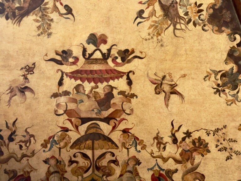 I Gabinetti di Palazzo Graneri a Torino