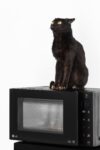 Eva & Franco Mattes, What Has Been Seen, 2017. Taxidermy cat, microwave oven, erased hard drive 50 x 40 x 120 cm Installed at Kunstverein Wiesbaden Photo by Melania Dalle Grave for DSL Studio
