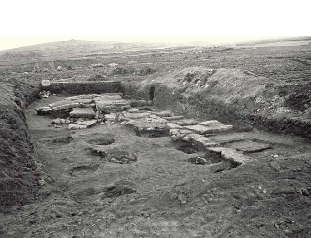 Gli scavi nella necropoli, Mont'e Prama
