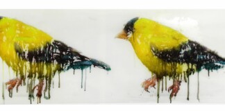 Ida Applebroog, Yellow Finch, 2018