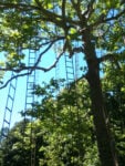 Il parco del Domain de Chaumont sur Loire, installazione di F. Méchain. Photo Claudia Zanfi