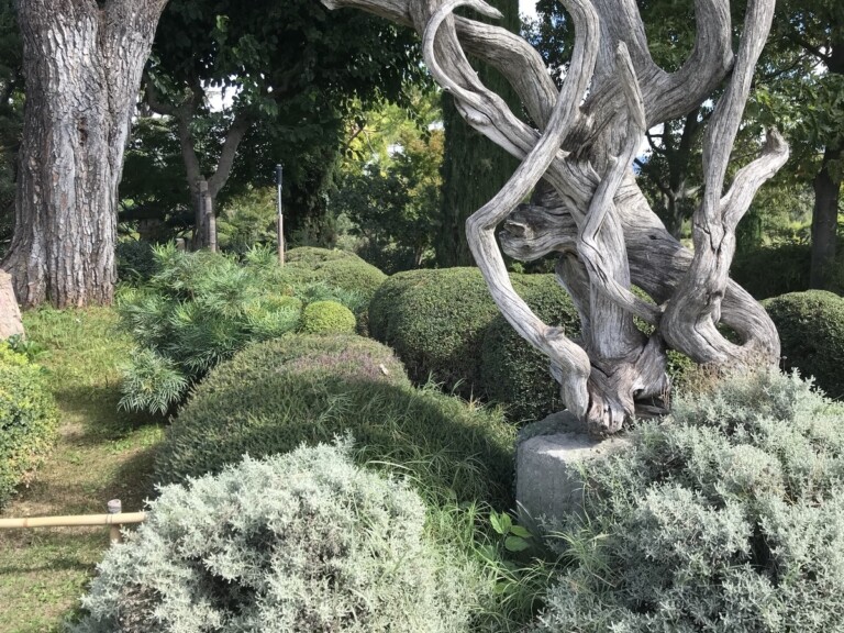 Jardin Zen Erik Borja nella Drôme© Photo Dario Bragaglia