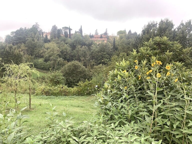 Palazzo Varignana, Tenuta Rio Rosso. Photo Claudia Zanfi