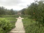 Palazzo Varignana, Tenuta Rio Rosso. Photo Claudia Zanfi