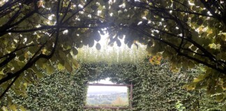 Palazzo Varignana, carpinata con vista. Photo Claudia Zanfi