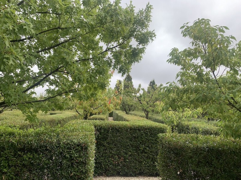 Palazzo Varignana, labirinto. Photo Claudia Zanfi