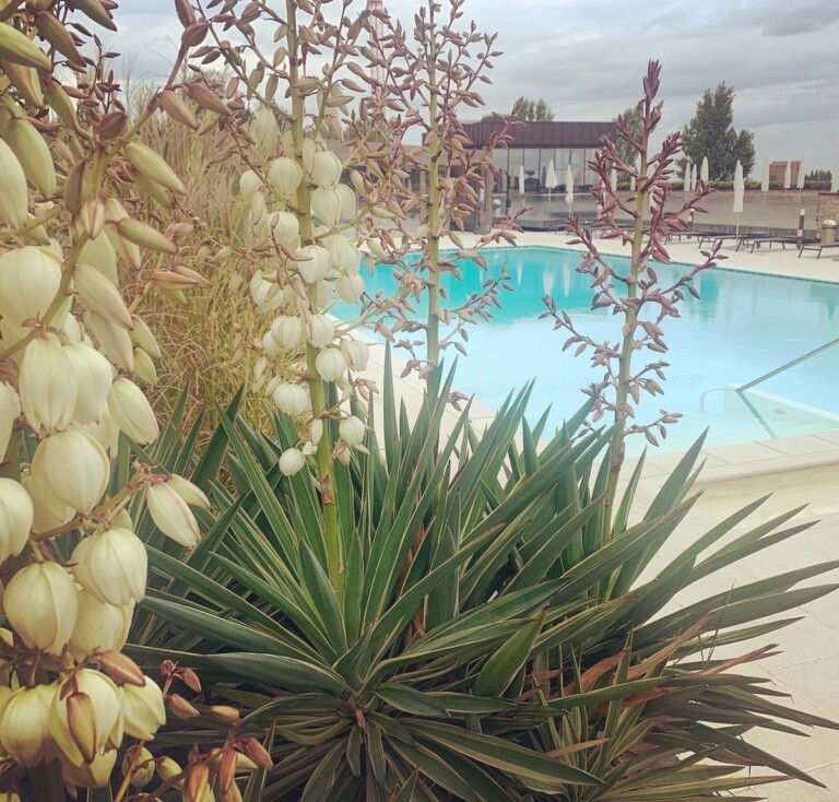 Palazzo Varignana, piscine. Photo Claudia Zanfi