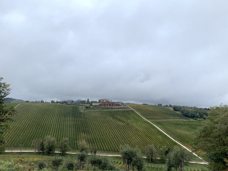 Palazzo Varignana, vigneti e cantina. Photo Claudia Zanfi