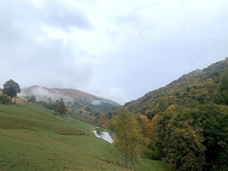 Polline, Valle Intelvi, 2022. Photo Claudia Zanfi