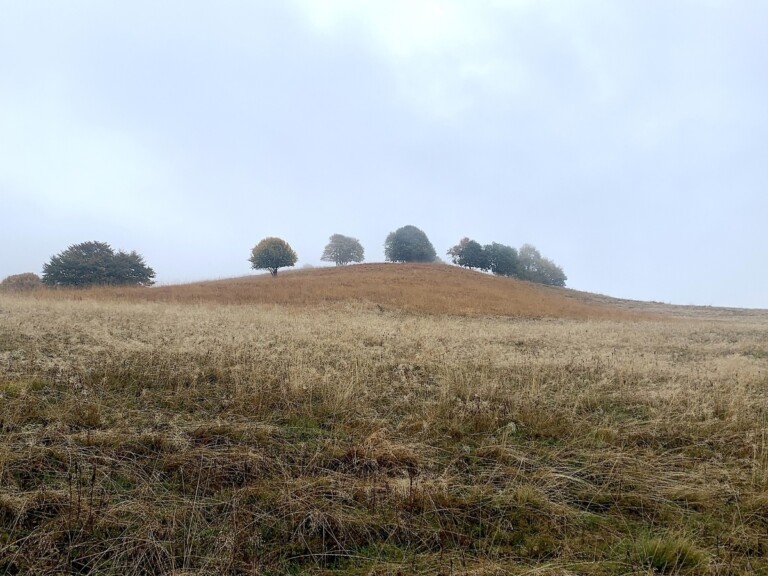 Polline, Valle Intelvi, 2022. Photo Claudia Zanfi