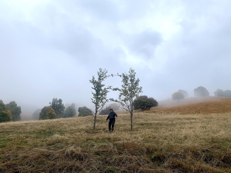 Polline, opera Simone Berti, Valle Intelvi, 2022. Photo Claudia Zanfi