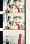 Jonas Mekas, frozen film frames from This Side of Paradise, 1999