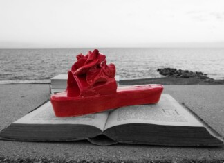 Albisola Superiore- Scarpa Rossa su libro