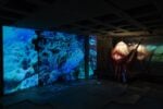 Alex Cecchetti, Sortilegio, exhibition view at Forof, Roma, 2022. Photo Monkeys Video Lab