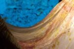 Alex Cecchetti, Sortilegio, exhibition view at Forof, Roma, 2022. Photo Monkeys Video Lab
