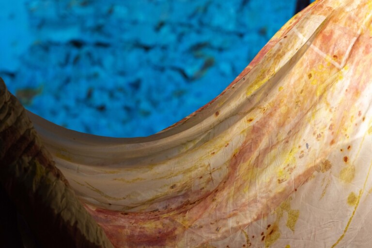 Alex Cecchetti, Sortilegio, exhibition view at Forof, Roma, 2022. Photo Monkeys Video Lab