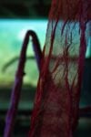 Alex Cecchetti, Sortilegio, exhibition view at Forof, Roma, 2022. Photo Monkeys Video Lab