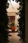 Alex Cecchetti, Sortilegio, exhibition view at Forof, Roma, 2022. Photo Monkeys Video Lab