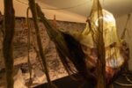 Alex Cecchetti, Sortilegio, exhibition view at Forof, Roma, 2022. Photo Monkeys Video Lab
