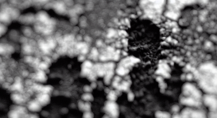 Anna Fainareti Lioka, Her seeds will heal you, 2022, still da video installazione