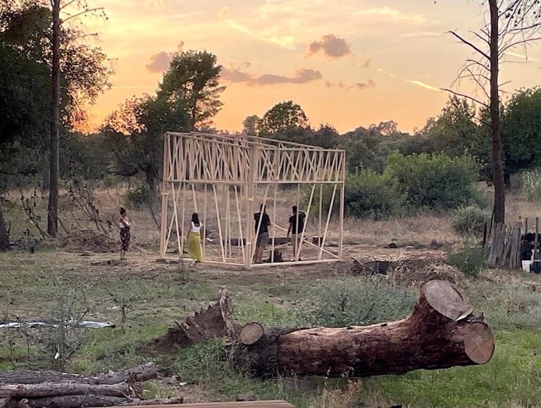 Bosco Colto, Sicilia. Installazione di Antonio Scarponi. Photo Claudia Zanfi