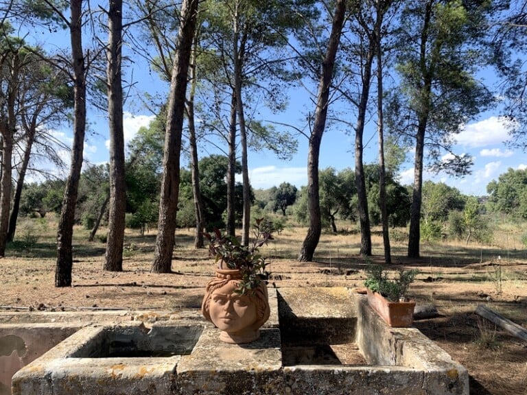 Bosco Colto, Sicilia. Photo Claudia Zanfi