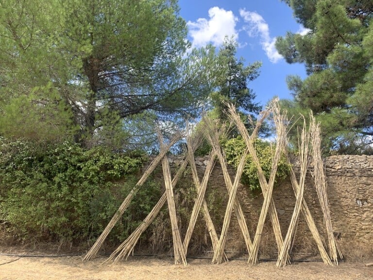 Bosco Colto, Sicilia. Photo Claudia Zanfi