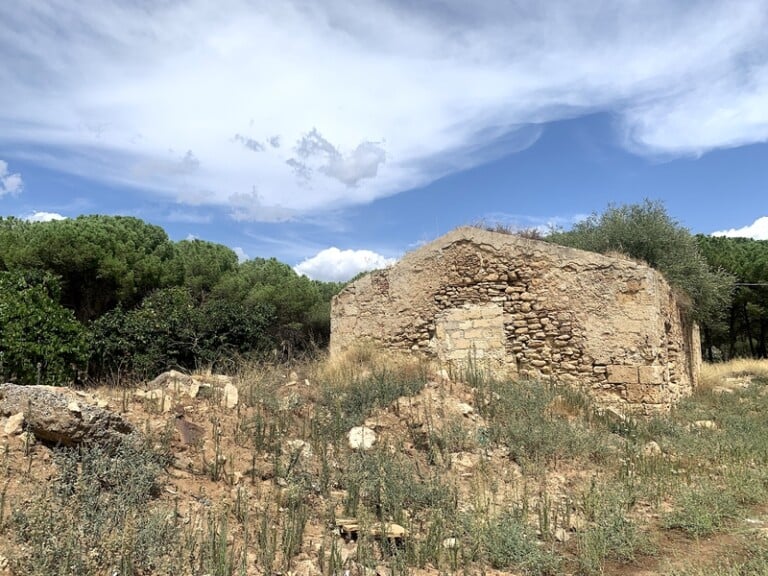 Bosco Colto, Sicilia. Photo Claudia Zanfi