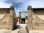 Bosco Colto, Sicilia. Stazione Granicoltura Photo Claudia Zanfi