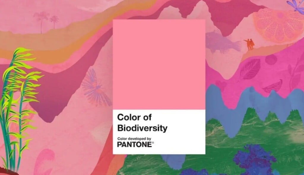 Pantone lancia un nuovo colore dedicato alla biodiversità. Un rosa brillante ispirato al deserto
