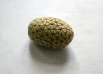 Dimitris Theocharis, The analysis of reality produces reality, 2021 – , patate incise, dimensioni variabili