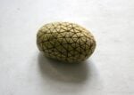 Dimitris Theocharis, The analysis of reality produces reality, 2021 – , patate incise, dimensioni variabili