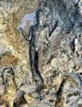 I bronzi etruschi di San Casciano dei Bagni. Dal ritrovamento del 2022