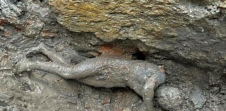 I bronzi etruschi di San Casciano dei Bagni