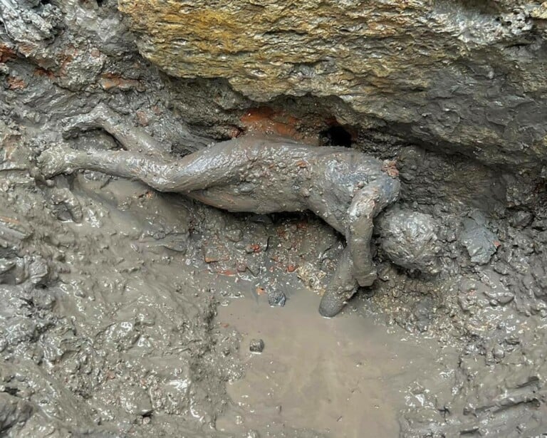 I bronzi etruschi di San Casciano dei Bagni