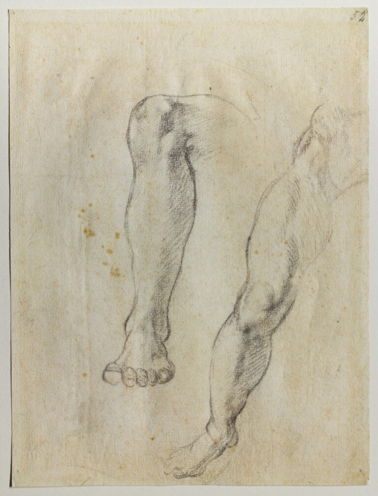 Michelangelo Buonarroti, Studi di gambe per la Volta Sistina, 1509-1510 circa, matita nera, 260 × 196 mm, Firenze, Casa Buonarotti, inv. 52 F, © Associazione MetaMorfosi, Roma. Foto: Massimo Menghini