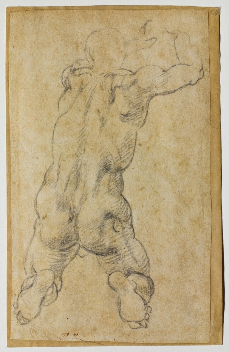 Michelangelo Buonarroti, Studio di nudo virile inginocchiato, 1534 circa, matita nera, 269 × 169 mm, Firenze, Casa Buonarroti, inv. 54 F, © Associazione MetaMorfosi, Roma. Ph. Massimo Menghini